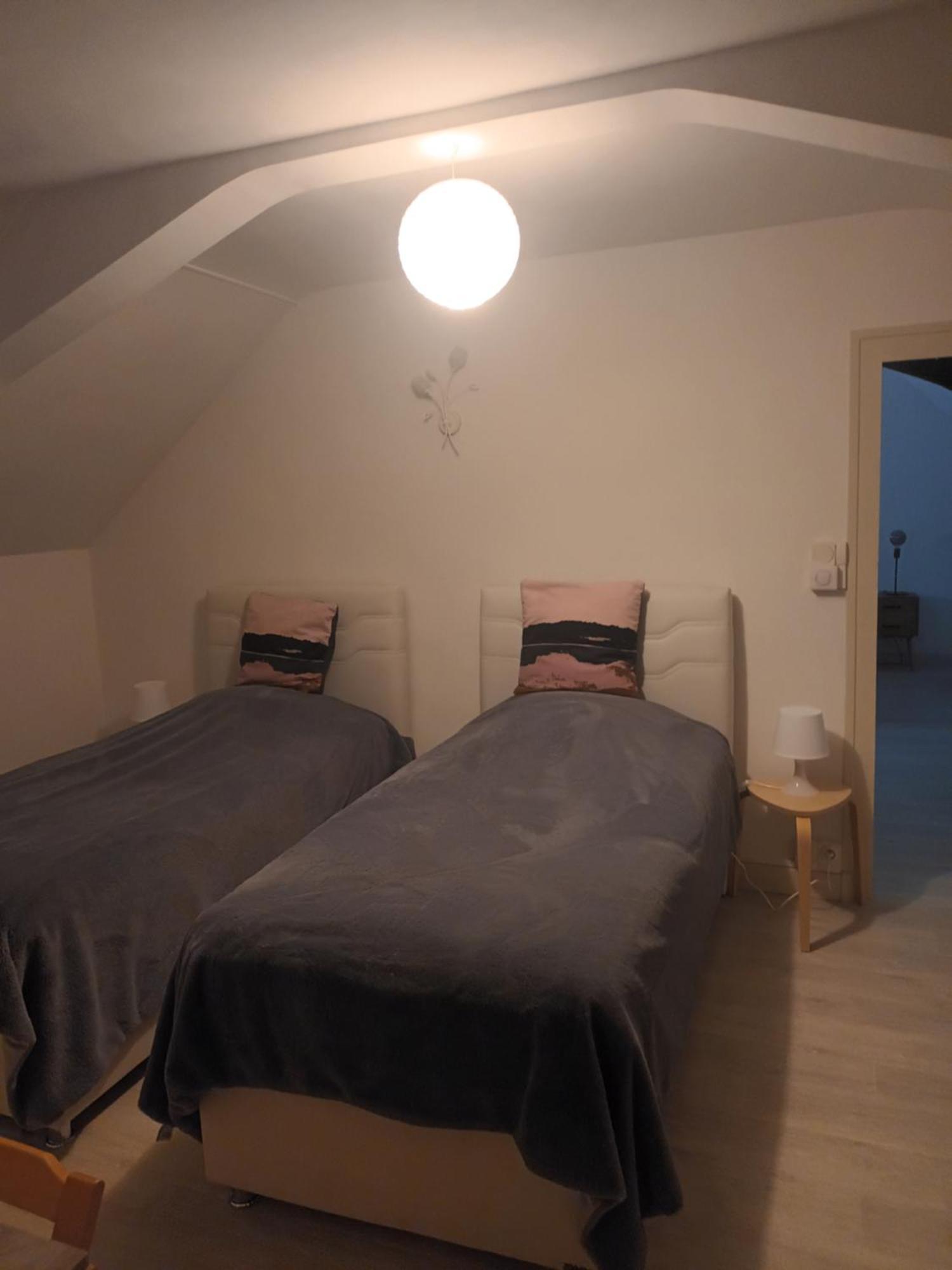 Le Gite Au Pied Du Chateau De Chaumont Eksteriør billede